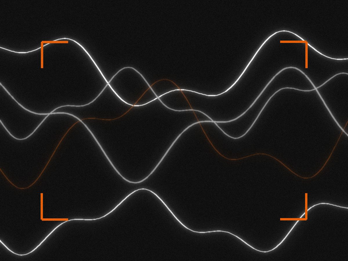 Pulse Athletics — Rebrand & identity